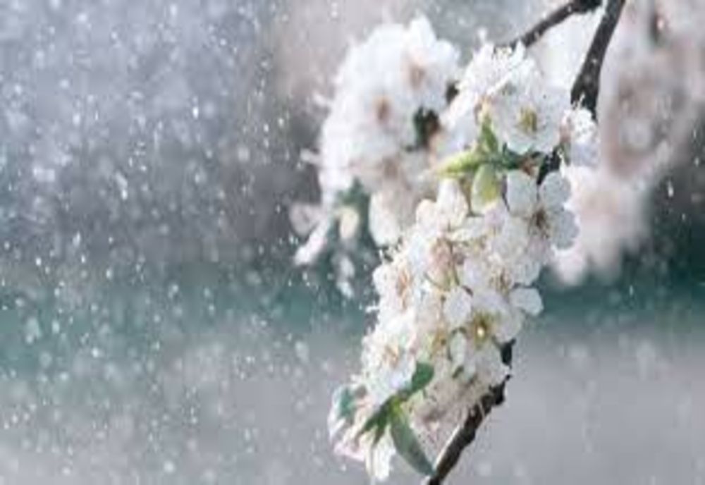 VREMEA 26 MARTIE. TEMPERATURI ÎN SCĂDERE, PLOI ÎN APROAPE TOATĂ ȚARA