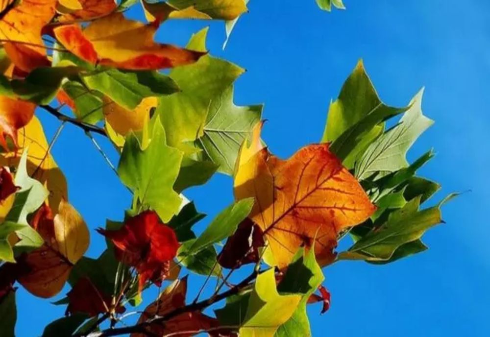 Vremea se schimbă și devine instabilă în aproape toată țara