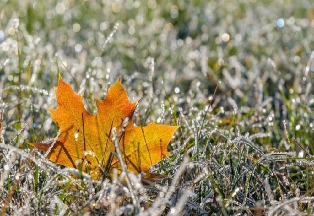 Prognoza meteo 4 decembrie. Vreme mai caldă decât normalul perioadei, ceață și vânt puternic în unele zone