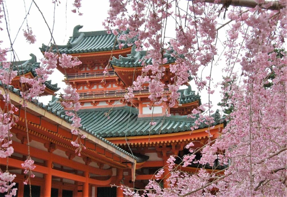 Japonia: o femeie de 76 de ani, condamnată la închisoare pentru că a ascuns timp de 20 de ani cadavrul fiicei sale