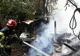 ULTIM ORĂ  Incendiu la o gospodărie din comuna Nănești