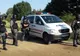 ULTIMA ORĂ   Percheziții la tăietorii de lemne