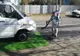 Suspiciune de pestă porcină africană în Satu Nou, comuna Măicănești