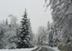 Meteo: cod galben de ninsoare și vânt puternic până luni seară