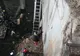 FOTO-VIDEO   Pompierii au salvat un câine lup, căzut într-o groapă