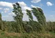 Meteo: cod galben de intensificări ale vântului, până în această după-amiază