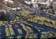 Taximetriști din Focșani, prezenți la protestul din București