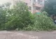 ULTIMA ORĂ Copaci căzuți și acoperișuri smulse, în Focșani, după furtună