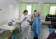 ULTIMA ORĂ ONG-ul Reset, din Iași, a sesizat DSP Vrancea în cazul bebelușilor folosiți electoral de Dăncilă