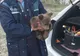 VIDEO Un pui de urs a fost găsit pe marginea drumului și acum e îngrijit de specialiștii de la ACDB