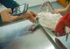 VRANCEA - Berzele îngrijite în Centrul de reabilitare și salvare a faunei sălbatice au ajuns în Polonia