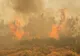 Anchetă uriașă în Grecia. Autoritățile au stabilit că cele mai multe incendii au fost provocate de mâna omului