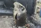 Bărbat grav rănit în explozia unei butelii de gaz într-o localitate din Vrancea