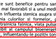 După ce a tăiat corcodușii din Focșani, Misăilă plantează "corcoduși bioenergetici", în Bahne