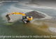VIDEO Lunca Siretului, arie protejată, devastată cu excavatorul!!! UNDE ESTE GARDA DE MEDIU VRANCEA?
